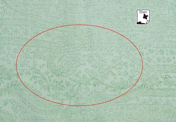 アニエスベーagnes b. インドシルクペイズリースカーフ 緑 K-98140_004