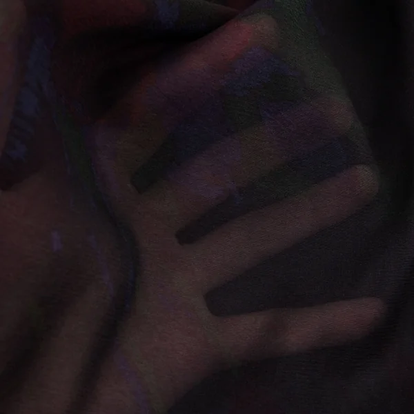 ドリスヴァンノッテンDRIES VAN NOTEN フラワープリントシルクシフォンギャザーフリル切替トップス 黒36 K-99601_016