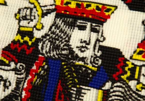 ISSEY MIYAKE PLEATS(T.) King Print Box Pleats T Shirt K-100794_008