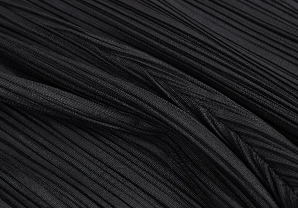 プリーツプリーズPLEATS PLEASE プリーツサイドジップリブパンツ 黒3 K-101242_008