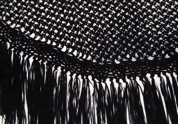 リミフゥLIMI feu Vネックフリンジプリント半袖カットソー オフS K-102011_010