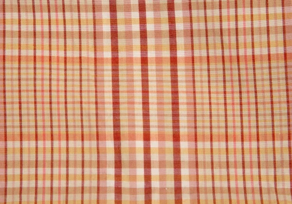 PINK HOUSE Bears Printed Half Wrap Layer Design Skrit K-102694_017