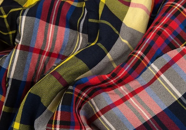 コムコム コムデギャルソンCOMME des GARCONS ポリシワ加工マドラスチェックジャケット マルチSS K-103088_017