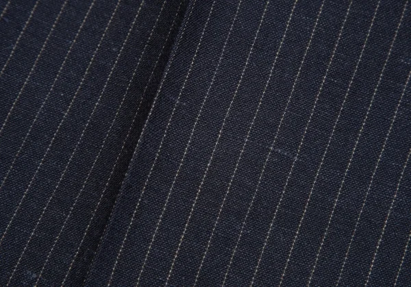 パパスPapas テッスーティディソンドリオESSUTI DI SONDRIO社ファブリックストライプスリムパンツ 紺50L K-103422_013