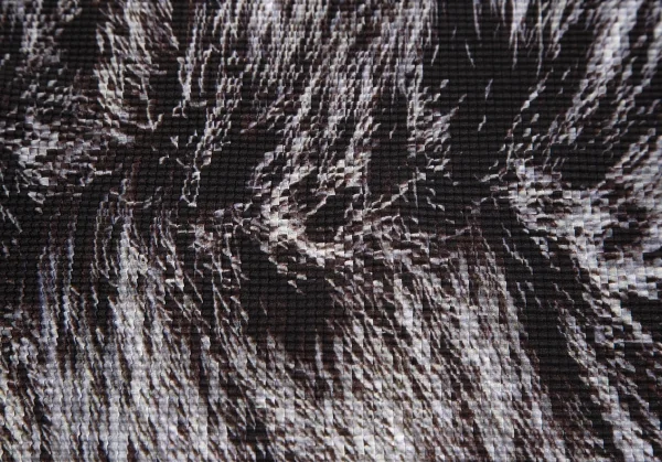 イッセイミヤケ ミーISSEY MIYAKE me ファー柄プリントボックスプリーツ5分袖カットソー 黒グレーFree K-103955_010