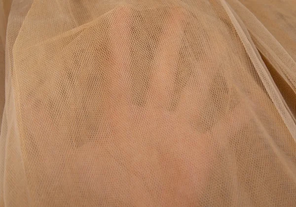 コムデギャルソンCOMME des GARCONS むら染めハードチュールカットオフギャザーシースルースカート ベージュS K-104075_017