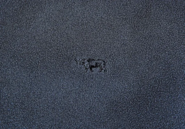 パパスPapas サイワンポイント刺繍フリースシャツ ブルーグレーL K-104401_008