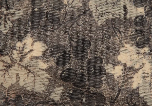 ジャンポールゴルチエJean Paul GAULTIER ボタニカルプリントパワーネットロングスリーブカットソー オフベージュ40 K-105602_011