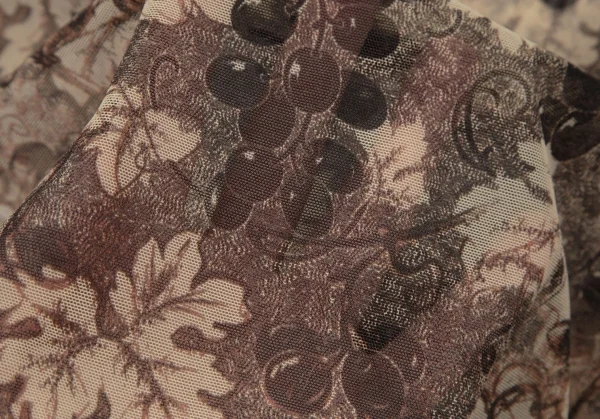 ジャンポールゴルチエJean Paul GAULTIER ボタニカルプリントパワーネットロングスリーブカットソー オフベージュ40 K-105602_012