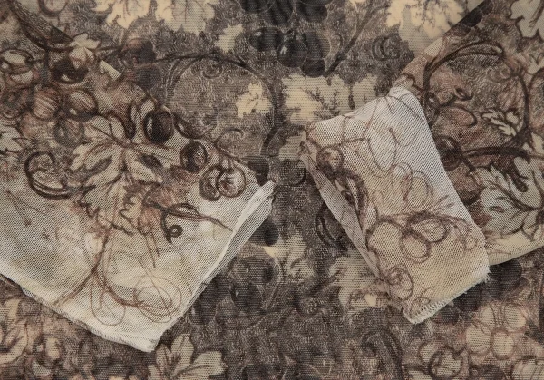 ジャンポールゴルチエJean Paul GAULTIER ボタニカルプリントパワーネットロングスリーブカットソー オフベージュ40 K-105602_005