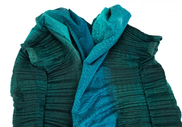 イッセイミヤケ フェットISSEY MIYAKE FETE A-POC INSIDE サイド