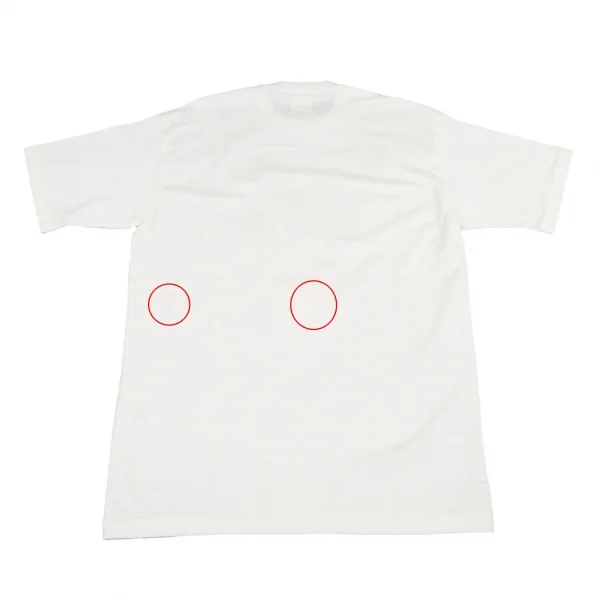 カールヘルムKarl Helmut ペナントプリントコットンTシャツ オフL位 K-105864_011