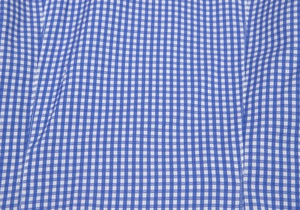 ドリスヴァンノッテンDRIES VAN NOTEN コットンチェッククレリックシャツ 白青36 K-106349_011