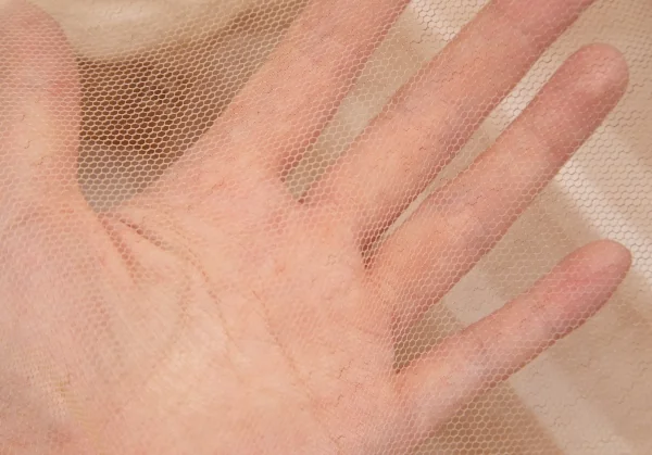 コムデギャルソンCOMME des GARCONS フロントティアード切替チュール半袖シャツ ベージュS K-107007_011