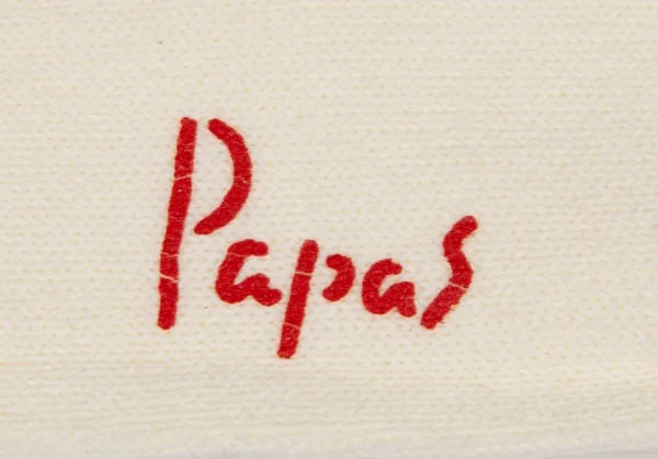 新品!パパスPapas カジキロゴ刺繍ハイソックス オフホワイトM位(25cm~27cm) K-108563_006