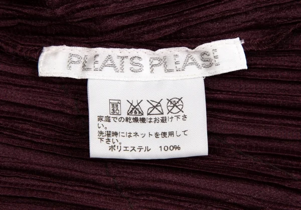 プリーツプリーズPLEATS PLEASE バイアスフリンジスキッパーカットソー 紫3 K-109941_019