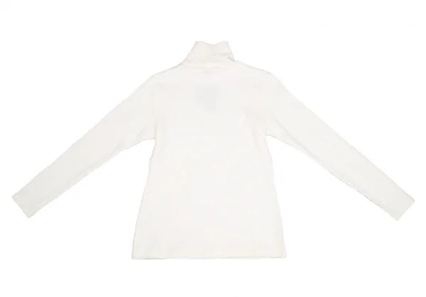 新品!ポールスチュアート スポーツPaul Stuart SPORT ポイント刺繍タートルネックリブカットソー オフM K-110297_010