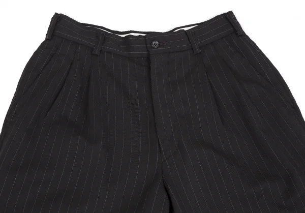 COMME des GARCONS Stripe Wool Banana Pants K-110635_002
