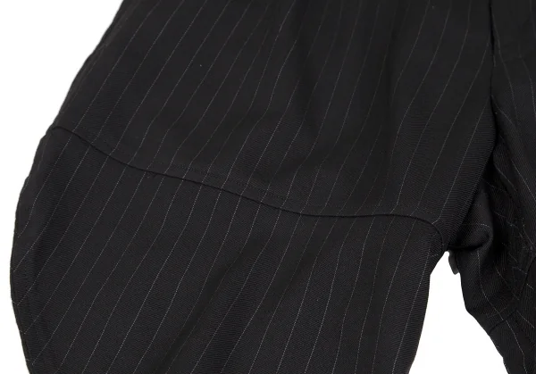 COMME des GARCONS Stripe Wool Banana Pants K-110635_010