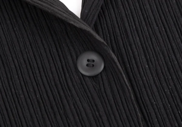 イッセイミヤケISSEY MIYAKE ベスト プリーツ　黒　サイズL ISSEY MIYAKE MENイッセイミヤケ ベスト ジレ プリーツ 黒