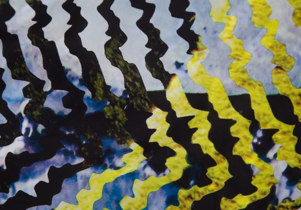 イッセイミヤケISSEY MIYAKE ライングラフィックプリントベルトパンツ マルチ1 K-110965_016