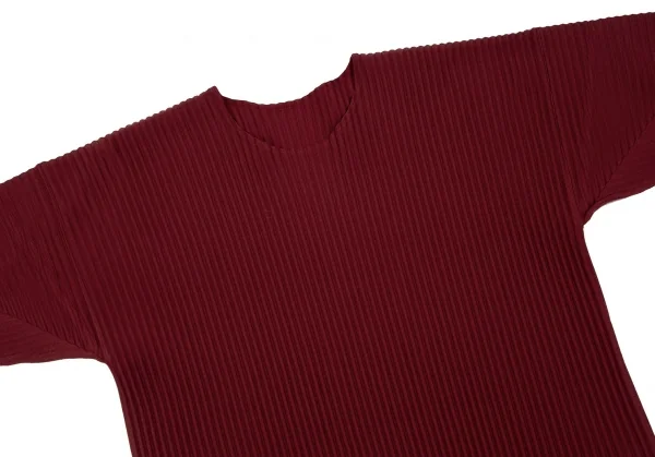 オムプリッセ イッセイ ミヤケHOMME PLISSE ISSEY MIYAKE プリーツカットソー レンガ3 K-111006_003