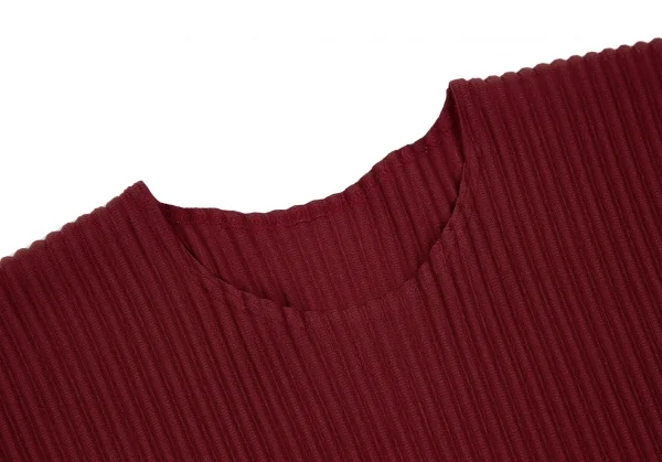 オムプリッセ イッセイ ミヤケHOMME PLISSE ISSEY MIYAKE プリーツカットソー レンガ3 K-111006_004