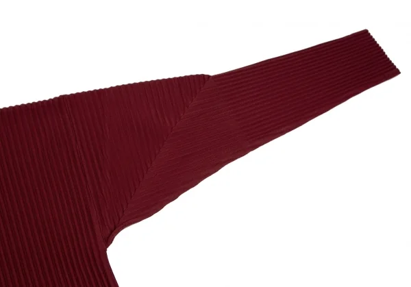 オムプリッセ イッセイ ミヤケHOMME PLISSE ISSEY MIYAKE プリーツカットソー レンガ3 K-111006_005