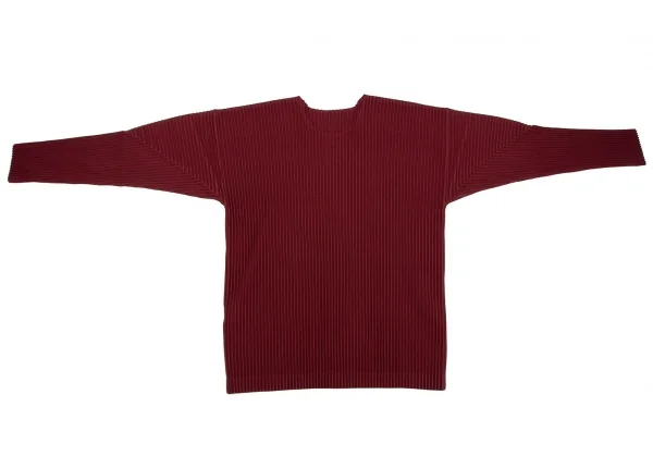 オムプリッセ イッセイ ミヤケHOMME PLISSE ISSEY MIYAKE プリーツカットソー レンガ3 K-111006_009