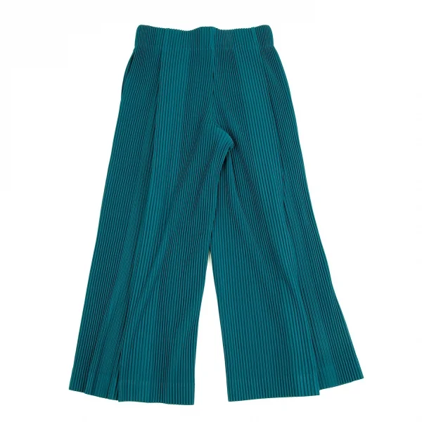 HOMME PLISSE ISSEY MIYAKE Tuck Pleats Wide Pants K-111020_011