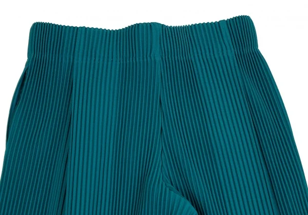 HOMME PLISSE ISSEY MIYAKE Tuck Pleats Wide Pants K-111020_012