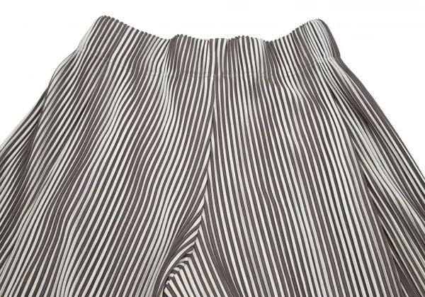 オムプリッセ イッセイ ミヤケHOMME PLISSE ISSEY MIYAKE プリーツストライプタックワイドパンツ ライトグレー茶2 K-111023_011