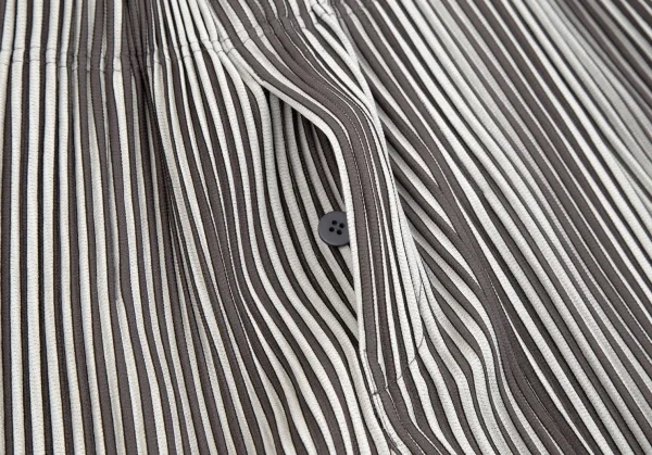 オムプリッセ イッセイ ミヤケHOMME PLISSE ISSEY MIYAKE プリーツストライプタックワイドパンツ ライトグレー茶2 K-111023_004