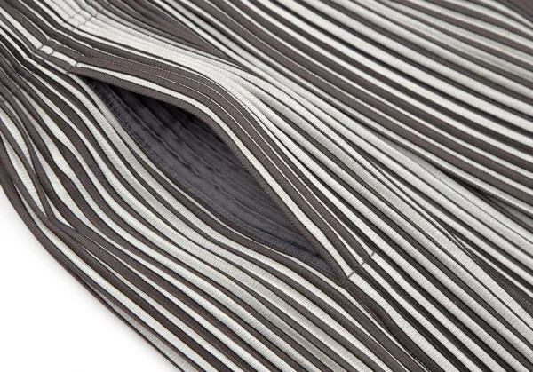 オムプリッセ イッセイ ミヤケHOMME PLISSE ISSEY MIYAKE プリーツストライプタックワイドパンツ ライトグレー茶2 K-111023_006