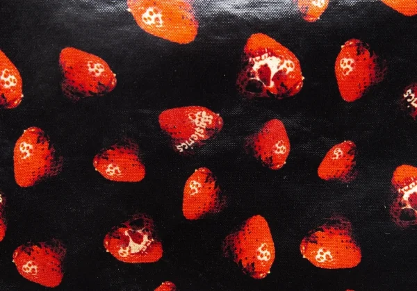 ヒステリックグラマーHYSTERIC GLAMOUR スカルベリーコーティングキャンバスバッグ 黒赤 K-111737_018