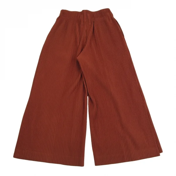 オムプリッセ イッセイ ミヤケHOMME PLISSE ISSEY MIYAKE サイドタックプリーツワイドパンツ 茶2 K-112065_010