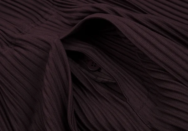 オムプリッセ イッセイ ミヤケHOMME PLISSE ISSEY MIYAKE プリーツ袴パンツ パープル3 K-112066_004