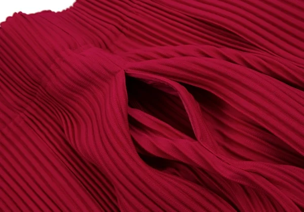 オムプリッセ イッセイ ミヤケHOMME PLISSE ISSEY MIYAKE プリーツ袴パンツ 赤2 K-112067_005