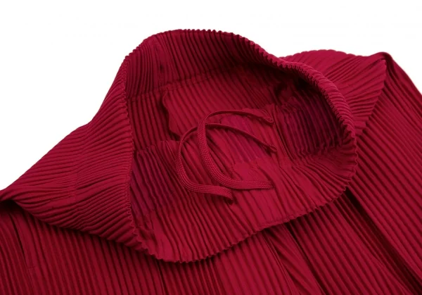 オムプリッセ イッセイ ミヤケHOMME PLISSE ISSEY MIYAKE プリーツ袴パンツ 赤2 K-112067_006