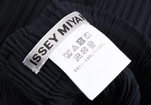 ISSEY MIYAKE イッセイミヤケ パンツ レディース2 ISSEY MIYAKE イッセイミヤケ レディース パンツ（その他