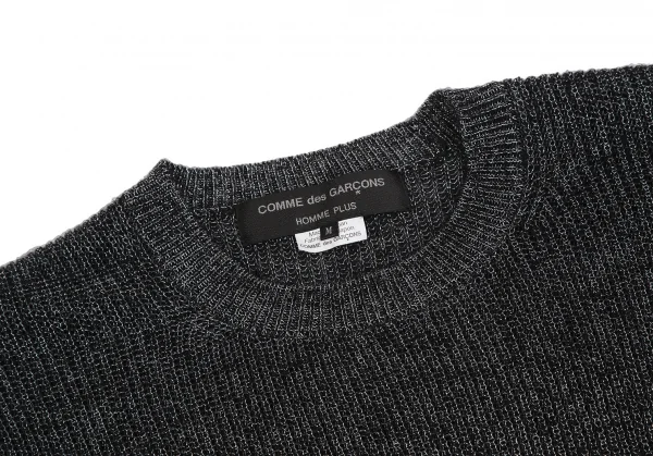 COMME des GARCONS HOMME PLUS Crew Neck Glitter Knit Sweater K-113656_003