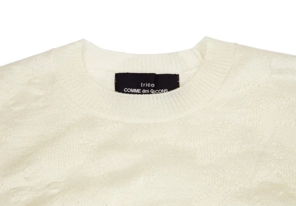 トリココムデギャルソンtricot COMME des GARCONS グリッタープリント針抜きフラワー柄クルーネックニット クリームS位 K-114436_003
