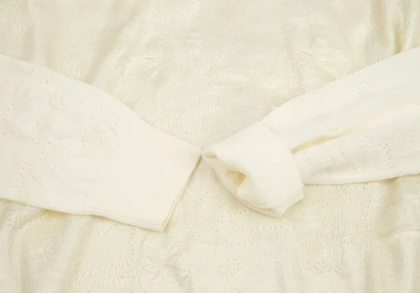トリココムデギャルソンtricot COMME des GARCONS グリッタープリント針抜きフラワー柄クルーネックニット クリームS位 K-114436_006
