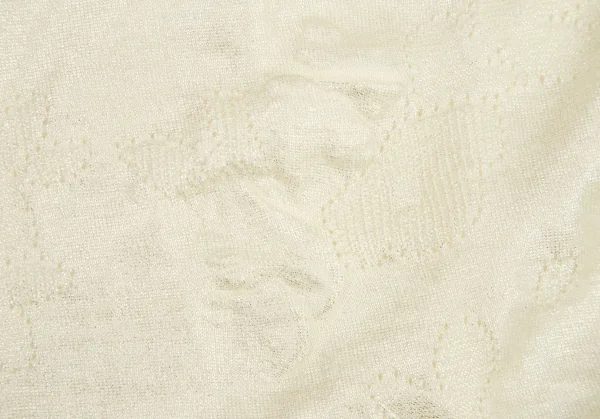 トリココムデギャルソンtricot COMME des GARCONS グリッタープリント針抜きフラワー柄クルーネックニット クリームS位 K-114436_008