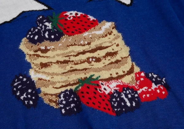 トリコ コムデギャルソン トリコスペシャルtricot COMME des GARCONS tricot Special ハワイアンパンケーキインターシャニット 青S位 K-115563_008