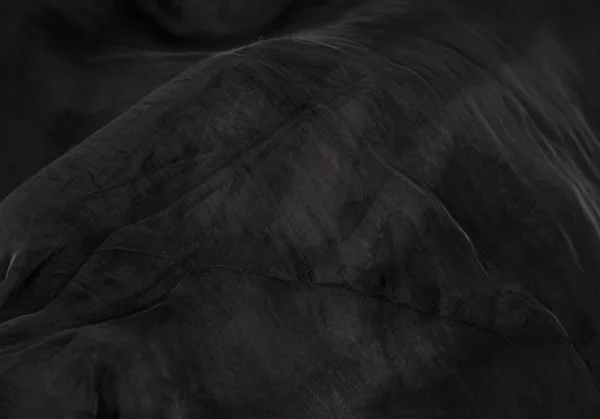 JUNYA WATANABE COMME des GARCONS Cut Off Hem See Through Skirt K-116116_012