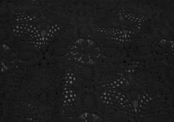 コムデギャルソン オムプリュスCOMME des GARCONS HOMME PLUS フラワーレース染色ジャケット 黒XS K-116536_014