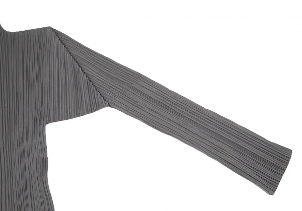 イッセイミヤケISSEY MIYAKEプリーツハイネックカットソー グレーM K-118774_006