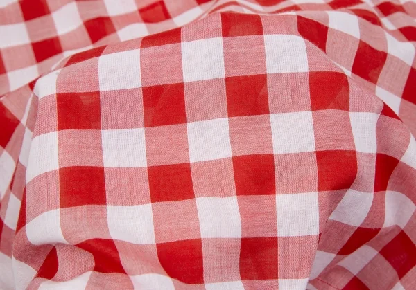 ヴィヴィアンウエストウッド レッドレーベルVivienne Westwood Red Label シアーチェック五分袖シャツ 赤白2 K-118829_013