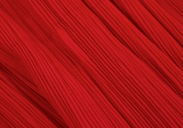 ISSEY MIYAKE Padding Pleats Jacket K-119029_016